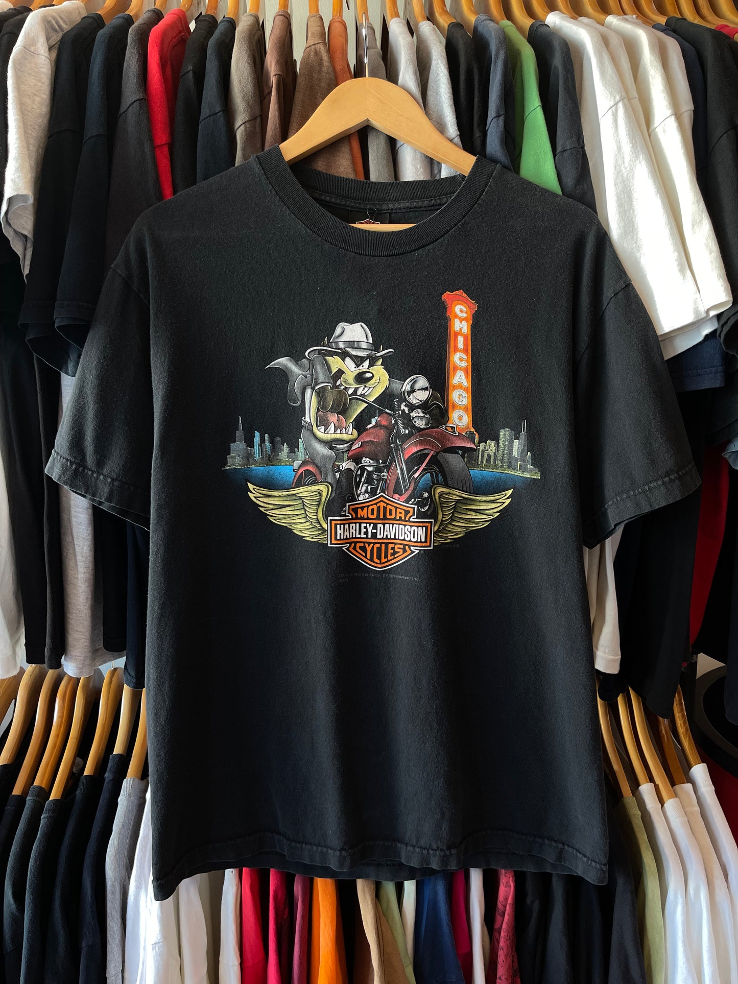 TAZ WINDY CITY HD