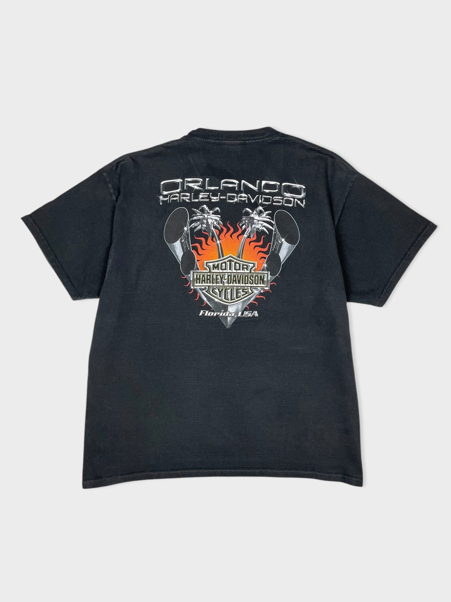 ORLANDO HD SKULL GRAPHIC TEE