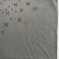 HURLEY Y2K TEE
