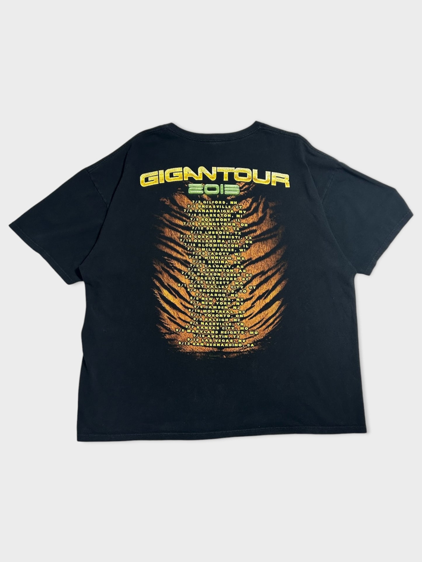 GIGANTOUR 2013