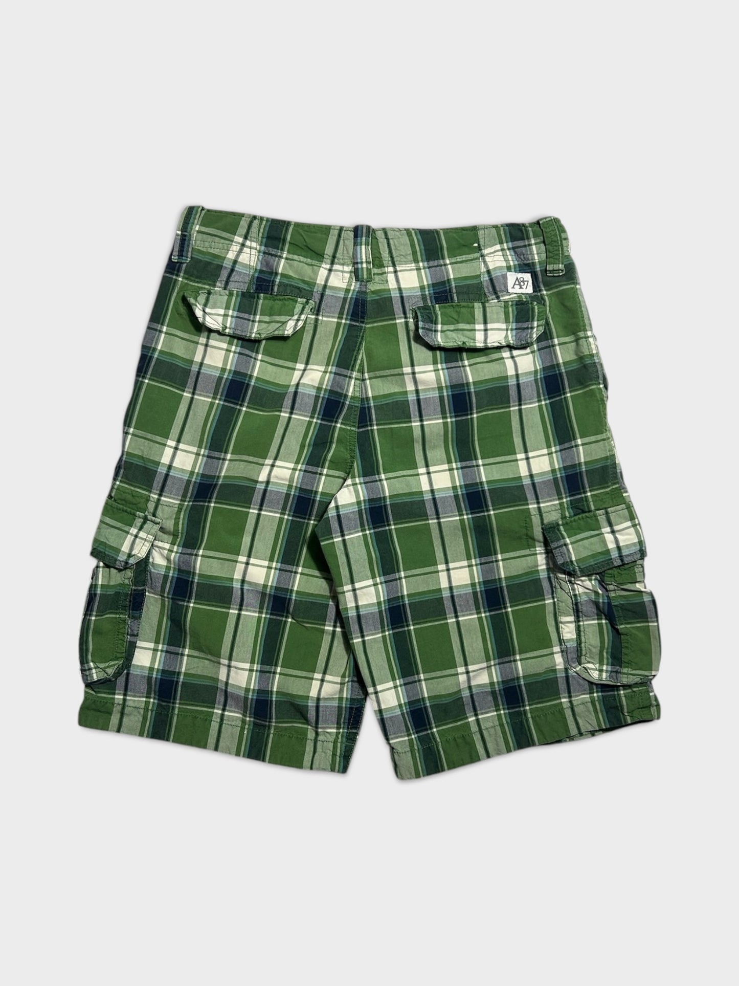 PLAID AEROPASTLE