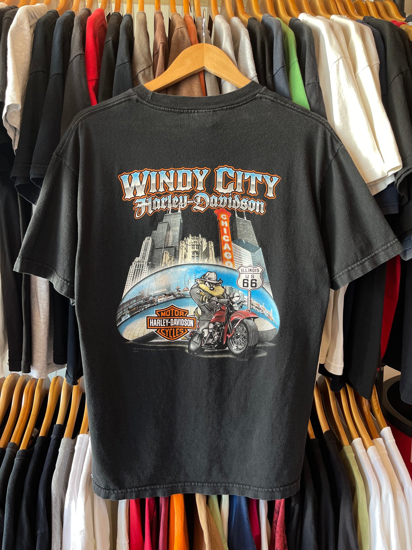 TAZ WINDY CITY HD